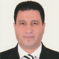 Co-Founder Profile: Dr. Yasser El-Araby
